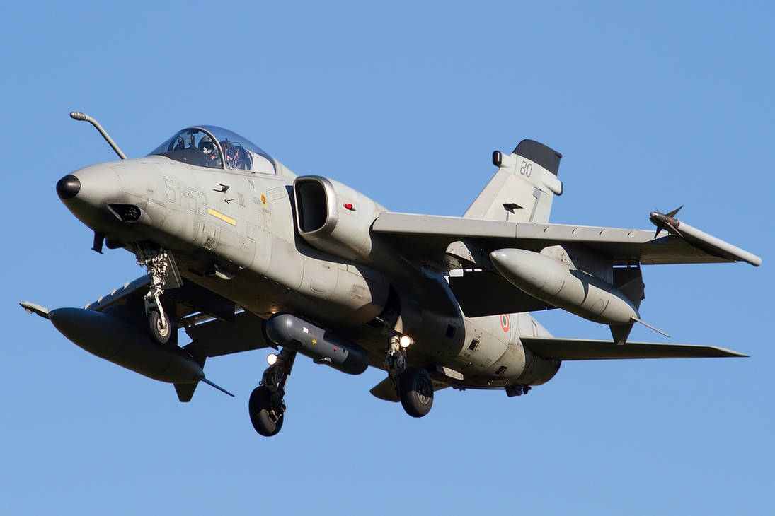 AMX International AMX 903308421.