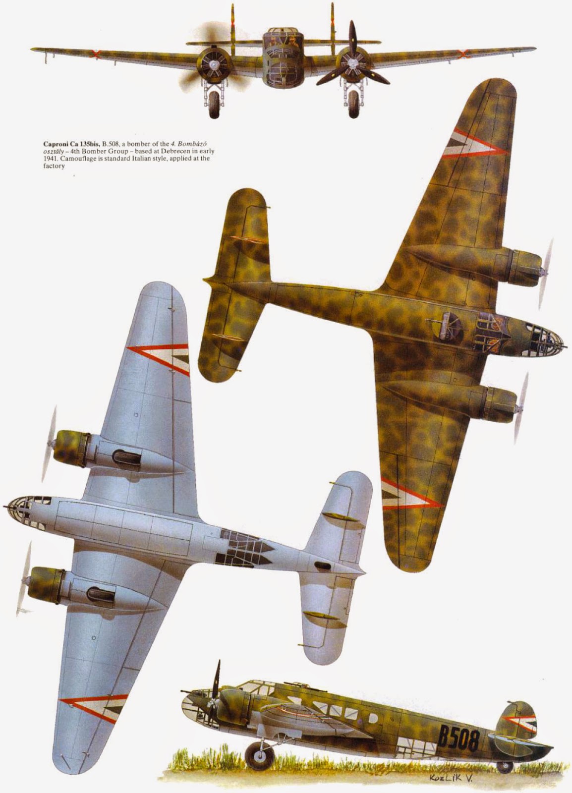 Italian Aircraft of WWII: Caproni Bergamaschi Ca 135.