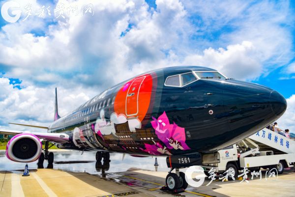 Colorfully painted regional airplane debuts in Guizhou.