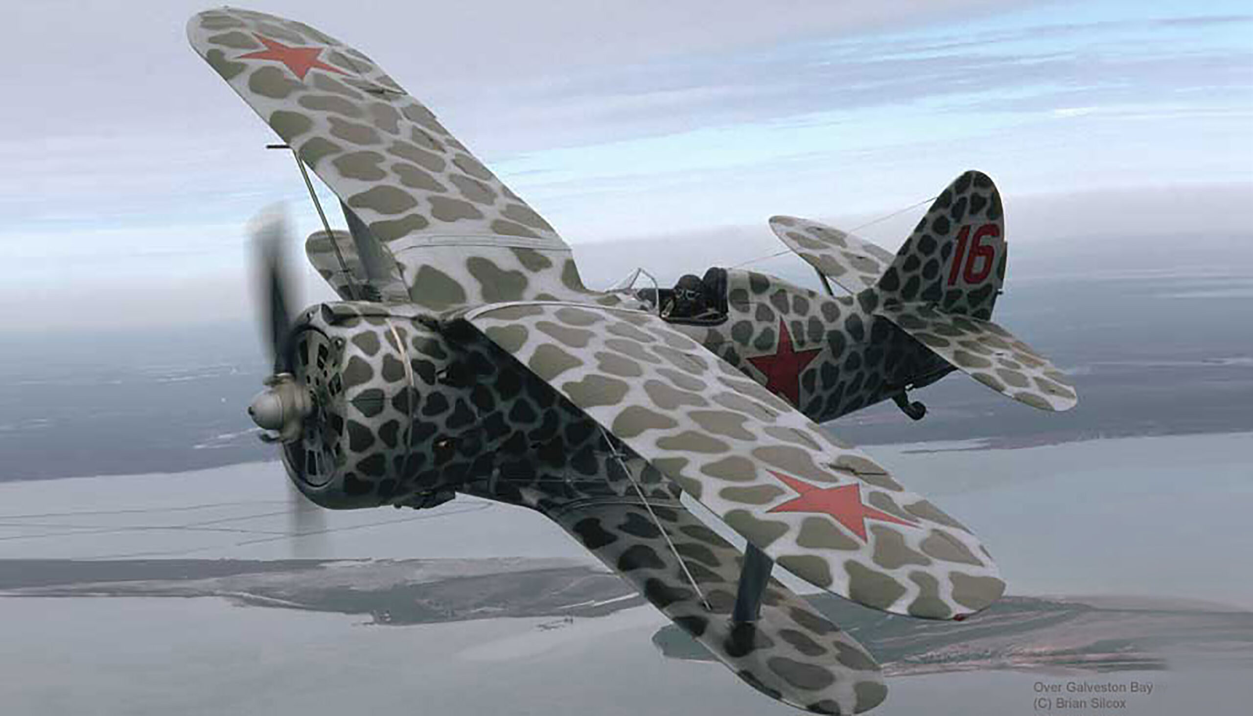 Polikarpov I-153 | Military Aviation Museum.