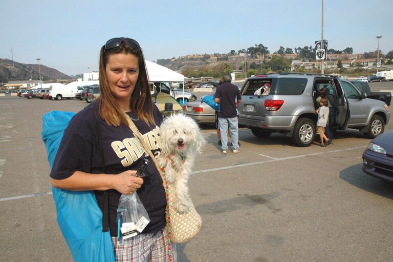 Qualcomm Stadium image 3