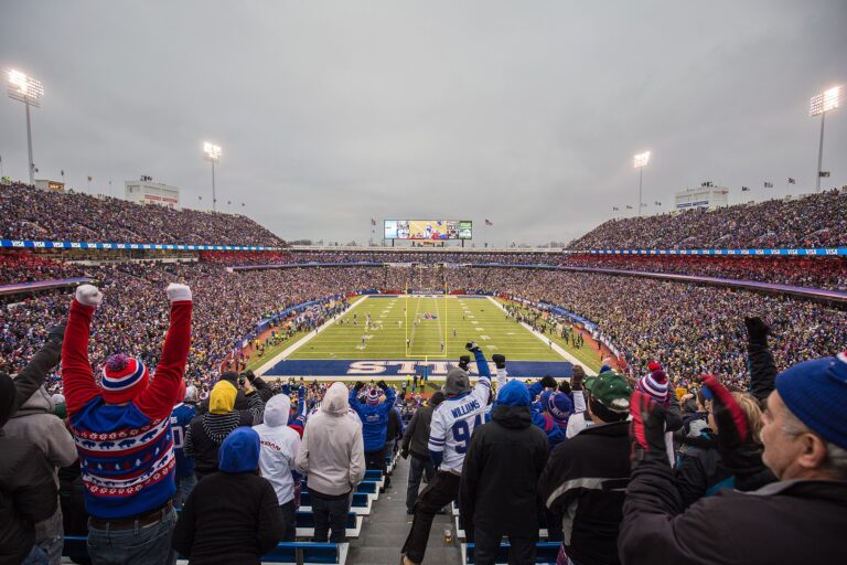 Ralph Wilson Stadium stadium image