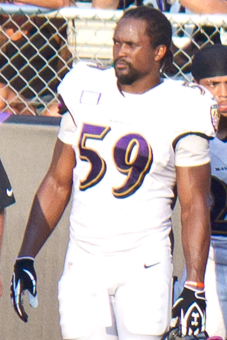 Ravens Stadium image 4
