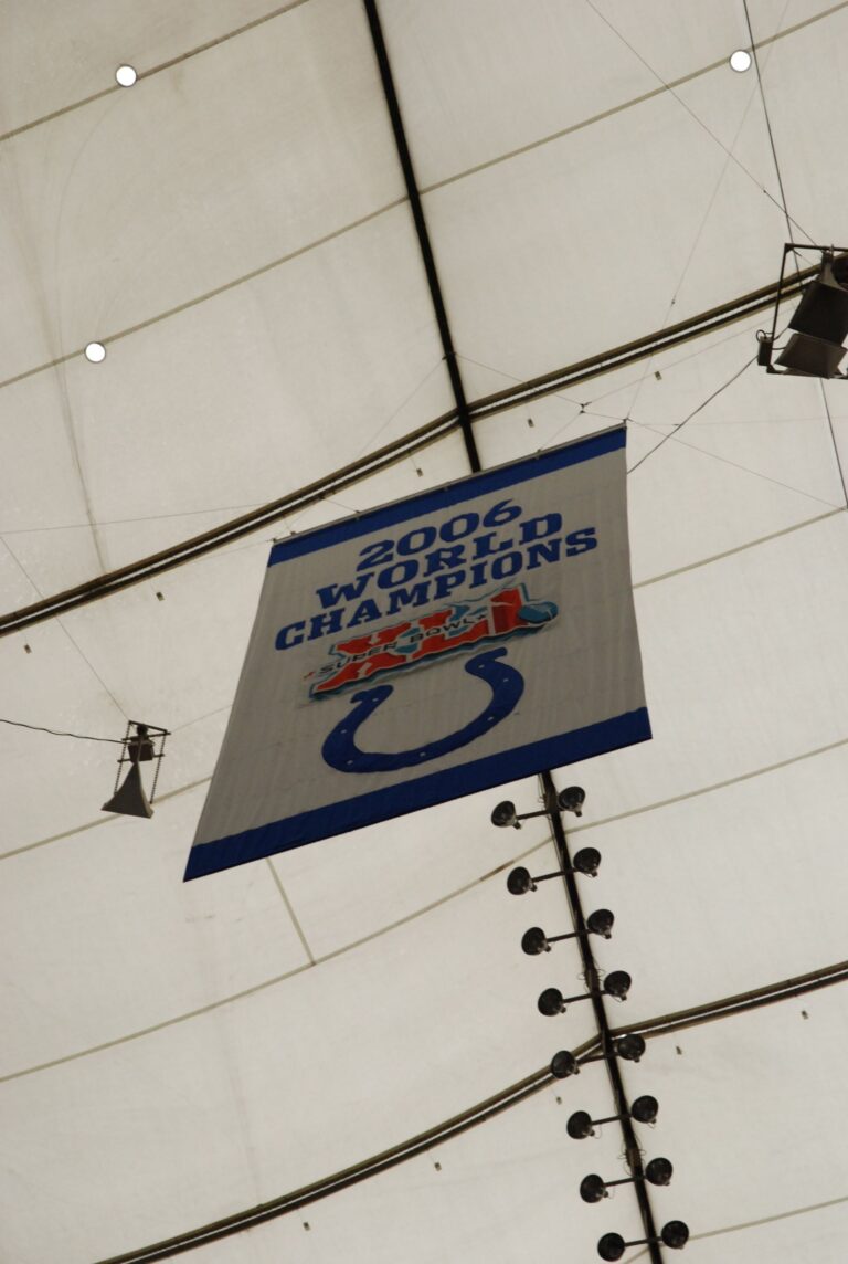 RCA Dome image 3