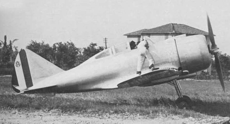 Reggiane Re.2000 Falco fighter side view on grass