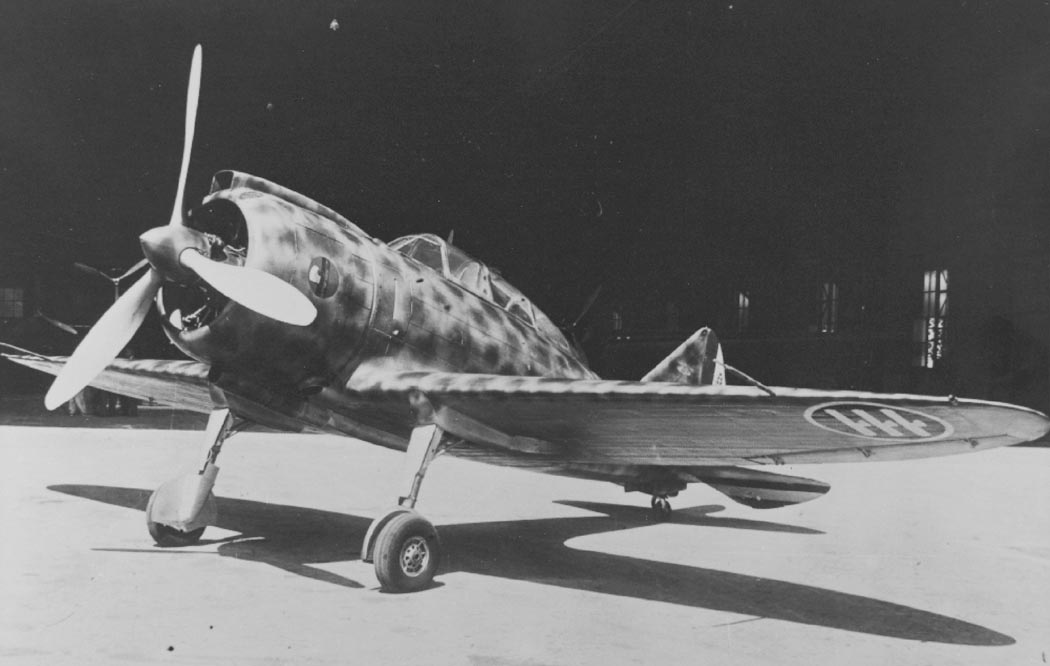 Reggiane Re.2000 Falco camouflaged fighter on airfield