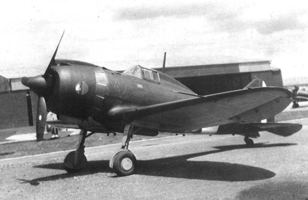 Reggiane Re.2002 Ariete on its landing gear