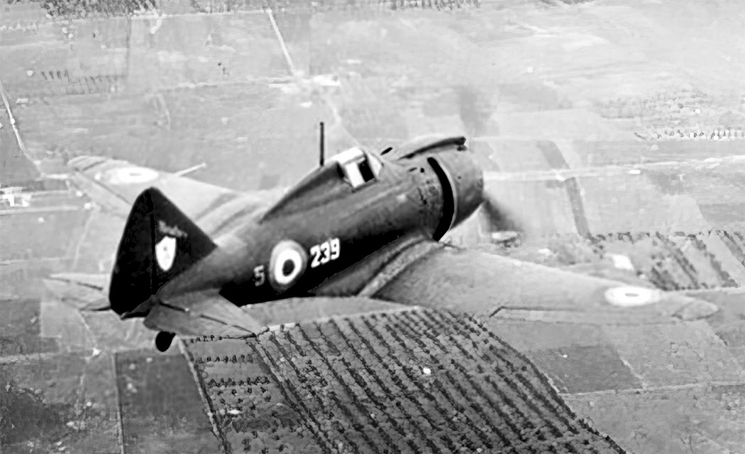 Reggiane Re.2002 Ariete in flight