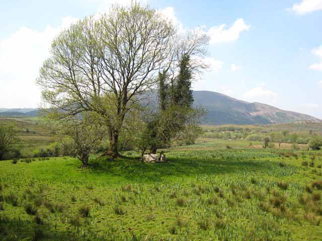 Megalithic tomb near Larkfield Lough