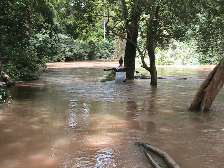 Riverside shrine in the Sacred Grove of Oshun