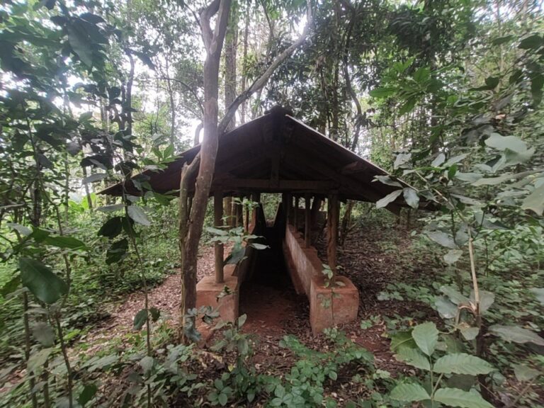 Mukurwe wa Nyagathanga site