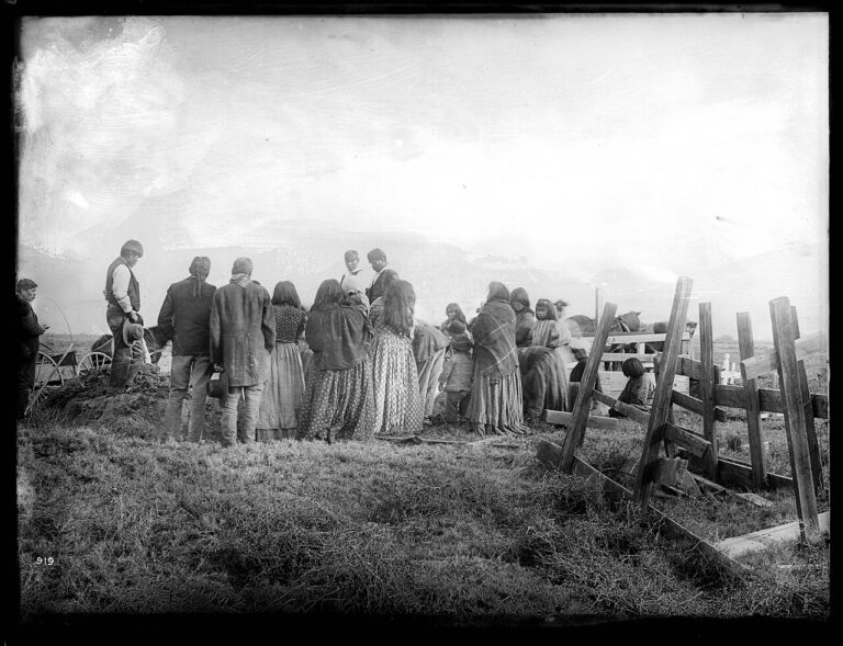 Paiute funeral scene with horses
