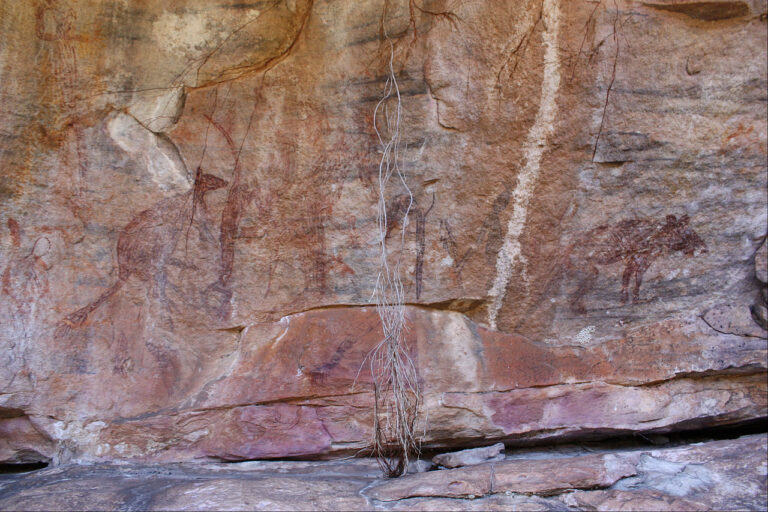 Arnhem Land animal panel