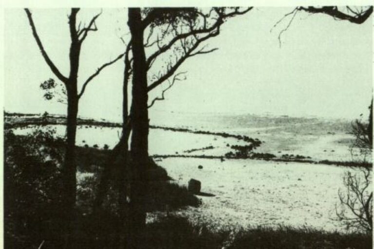 Ancient fish traps near Albany