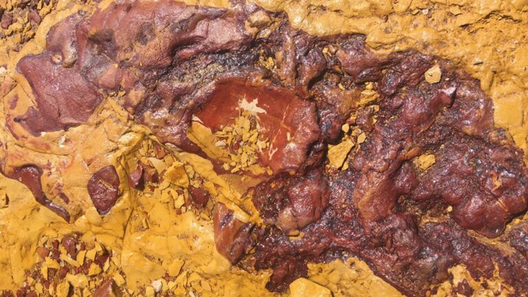 Noongar ochre pit near Albany