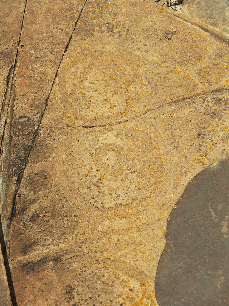 Sundown Point petroglyphs in Tasmania