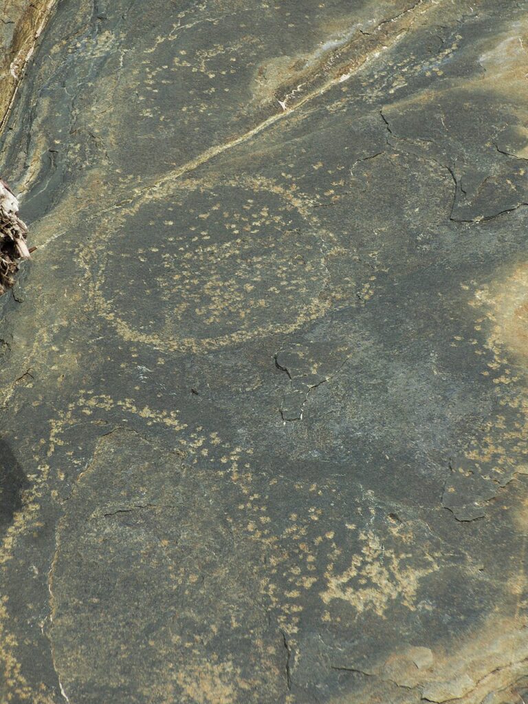 Another Sundown Point petroglyph panel