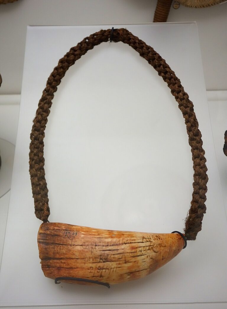Fijian tabua whale tooth