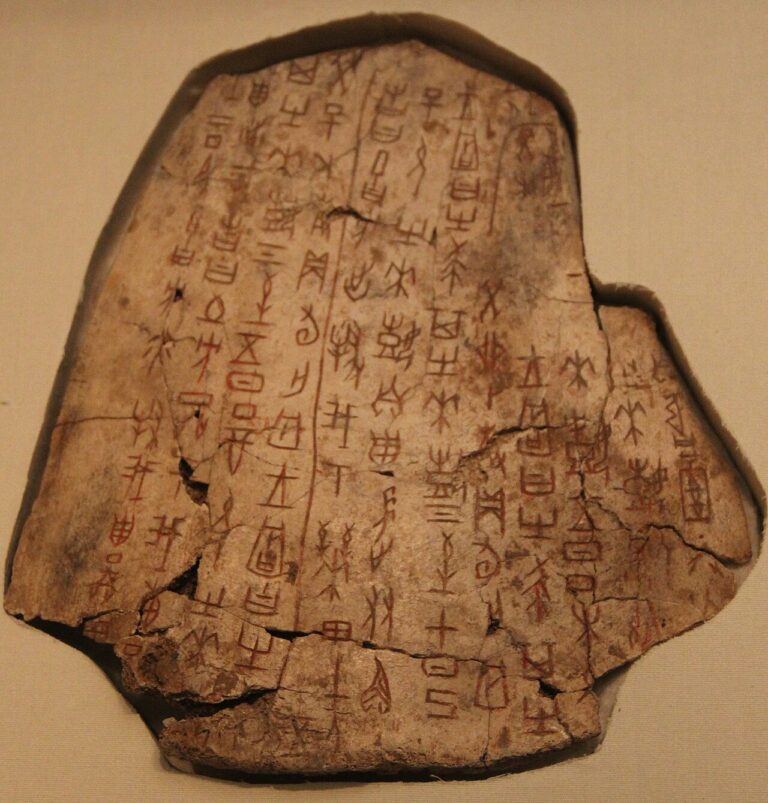 Shang ox scapula used for divination