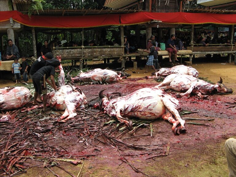Traditional funeral in Tana Toraja