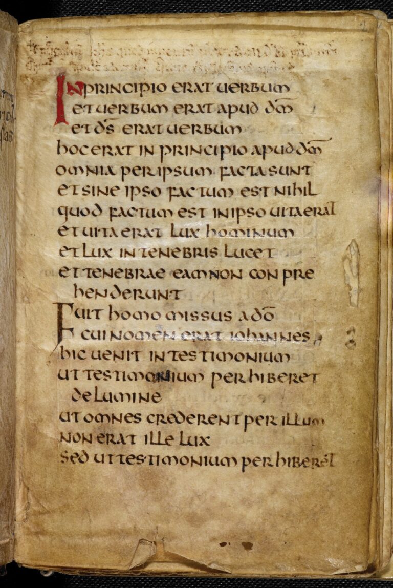 Cover of the St Cuthbert Gospel