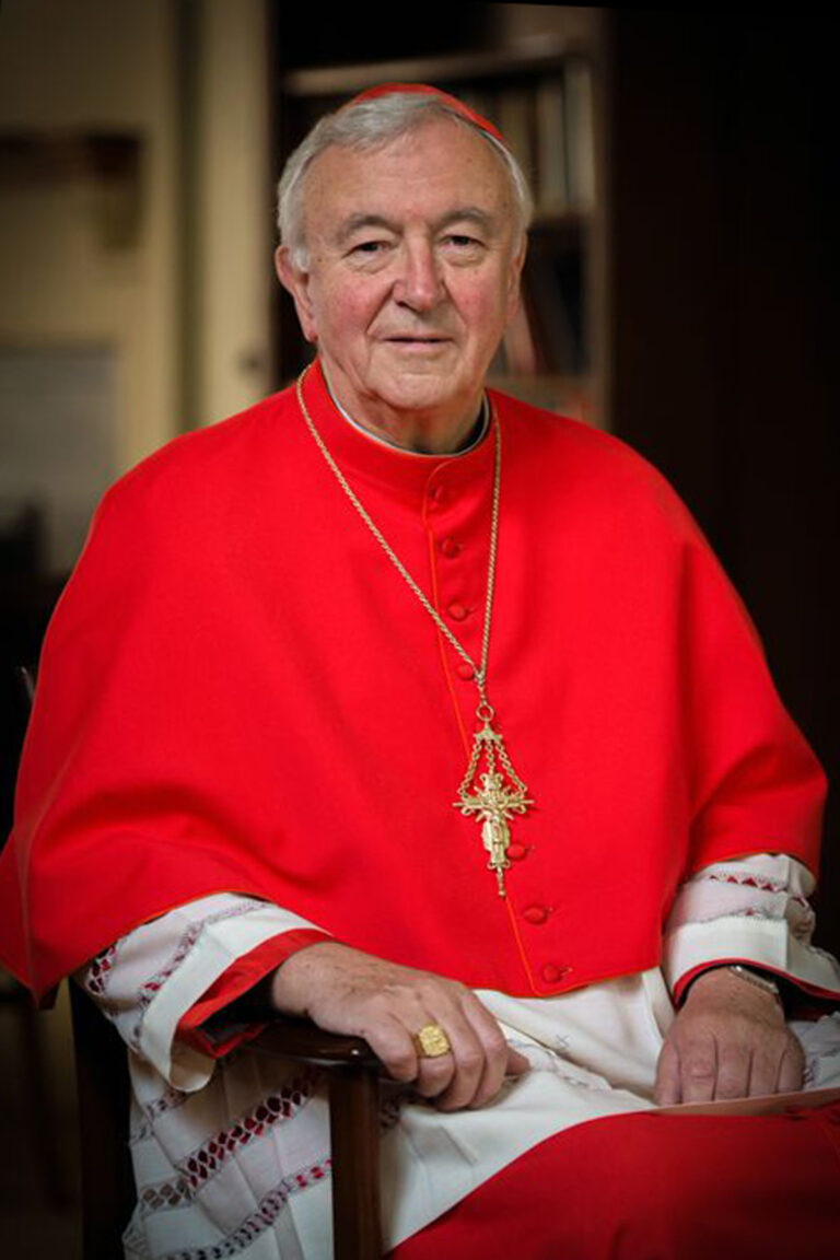 Cardinal Vincent Nichols in official portrait