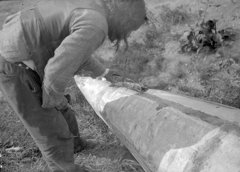 Repairing a birch-bark canoe