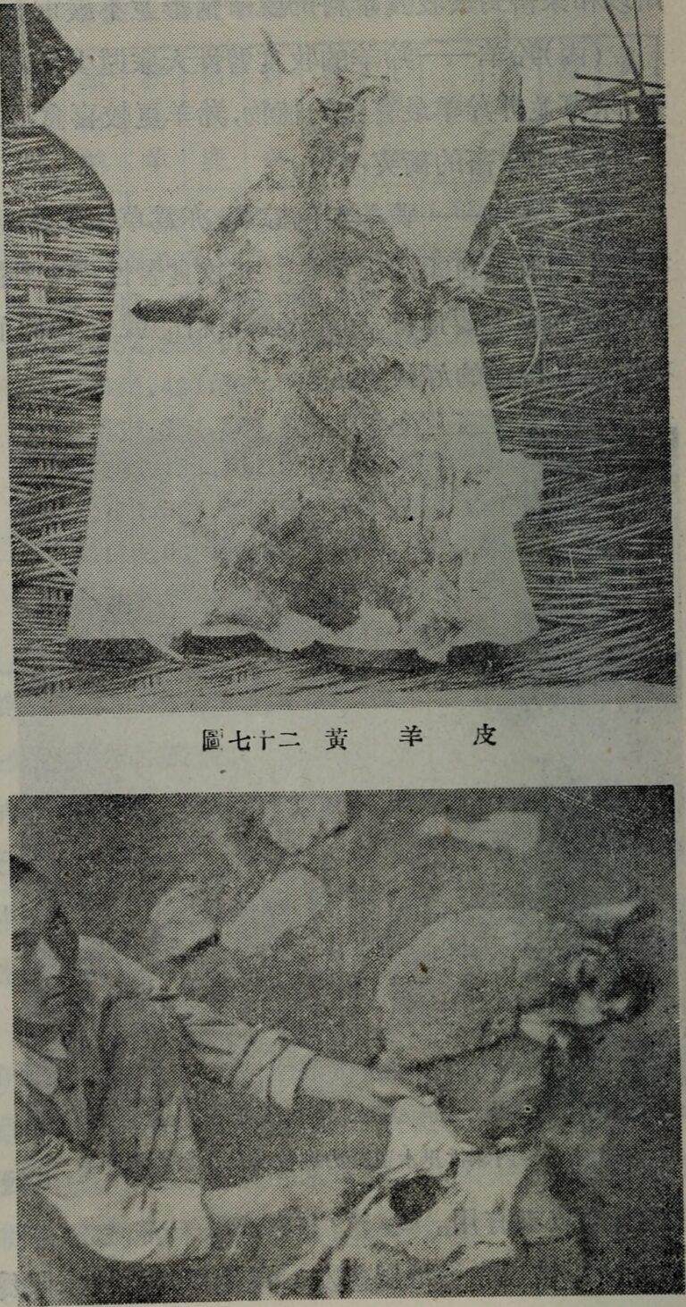 Cao yuan guan li xue (1955.9)
