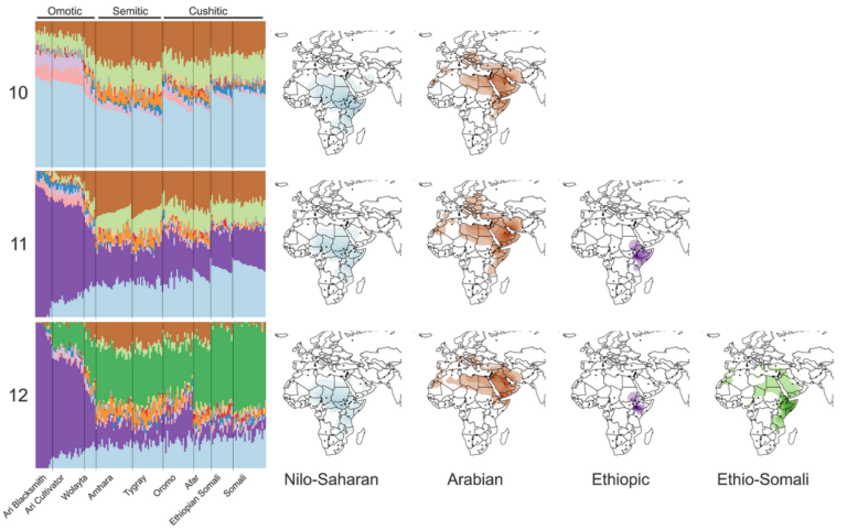 ADMIXTURE analysis of Horn of Africa populations