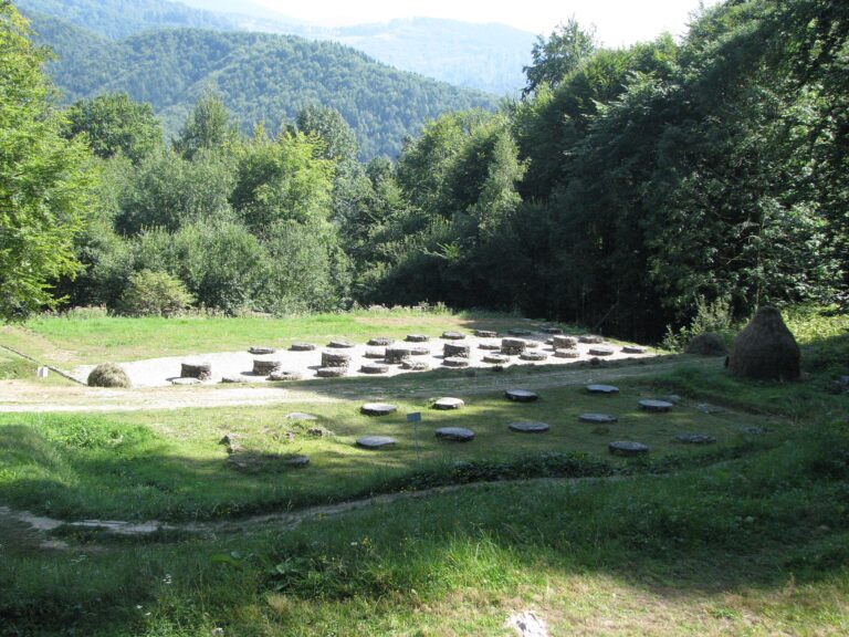 Sarmizegetusa Regia 2011 - Limestone Sanctuaries-1