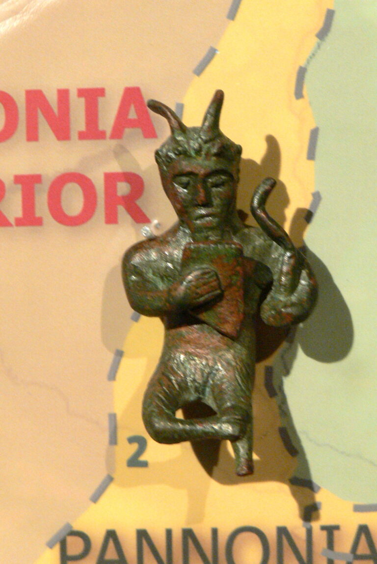 MC - Vidasus-Silvanus