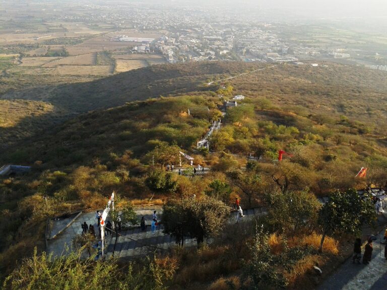 Stairway ascent on Satrunjaya Hill