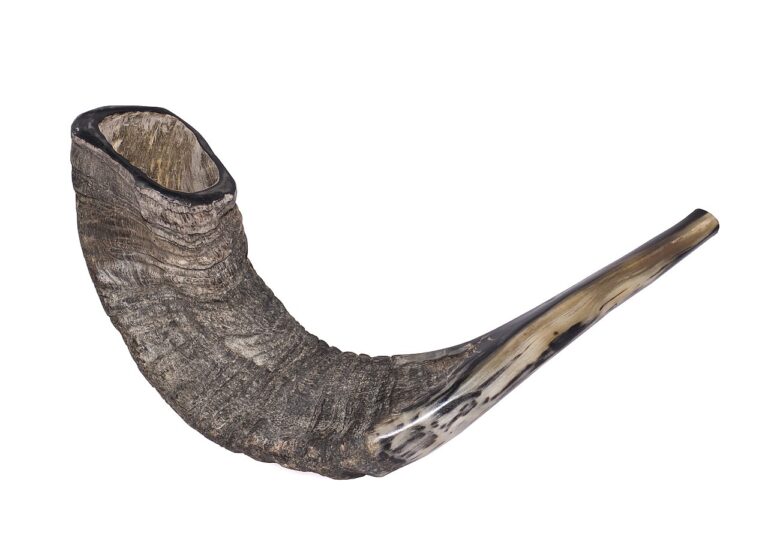 Shofar 16 Zachi Evenor