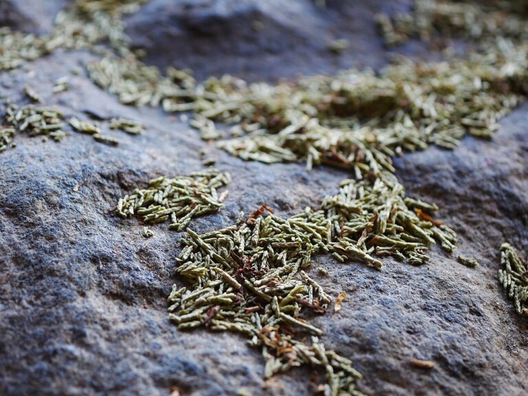 Prayer offerings at Medicine Rock