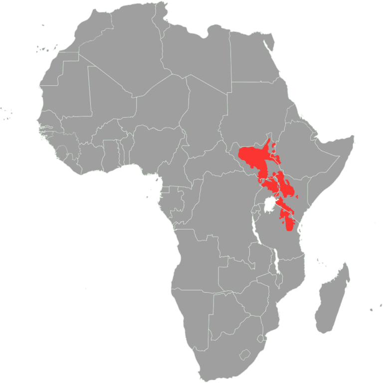 Nilotic languages