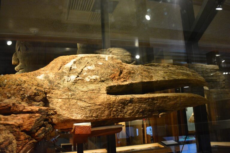 Ketchikan, AK - Totem Heritage Center 12 - Raven Mortuary Pole (Tlingit, Tongass)