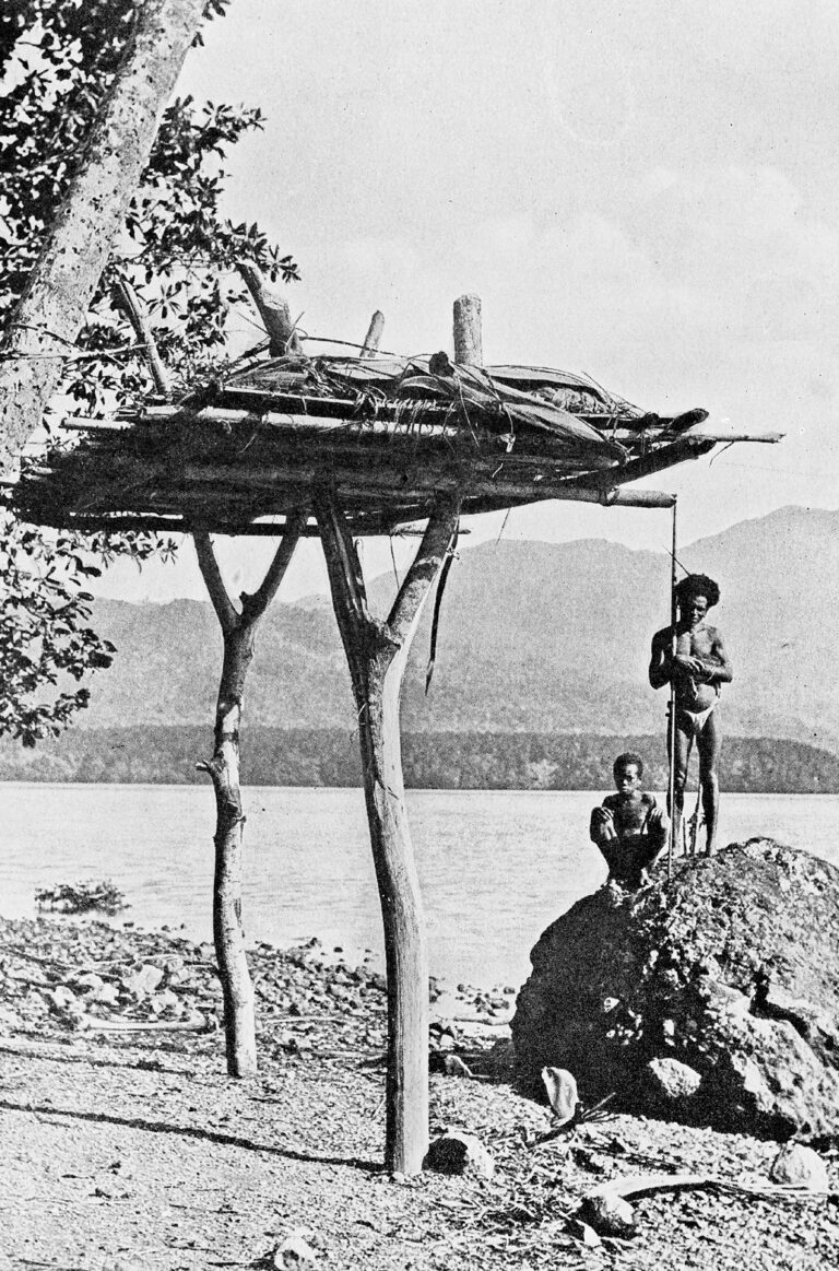 Platform for dead bodies, South Cape, New Guinea