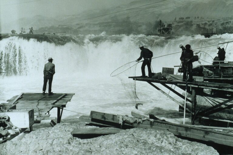 Salmon fishing with large loop nets by Native Americans