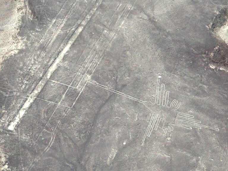 Nazca Lines Hummingbird