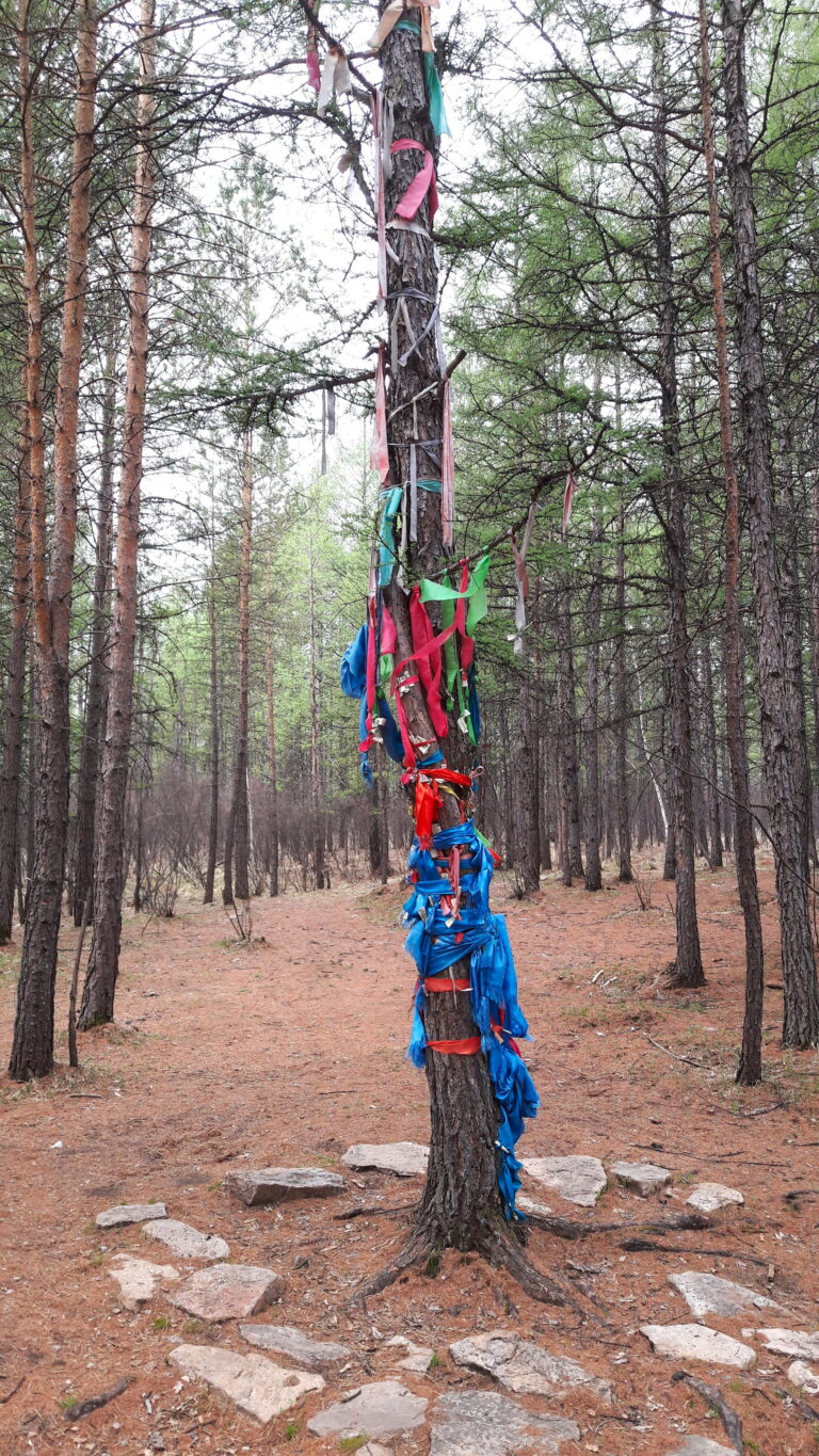 Evenk spirit tree