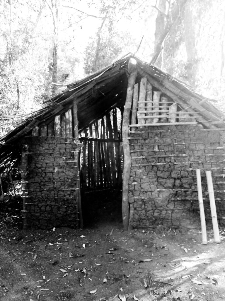 Mbya Guarani opy ceremonial house