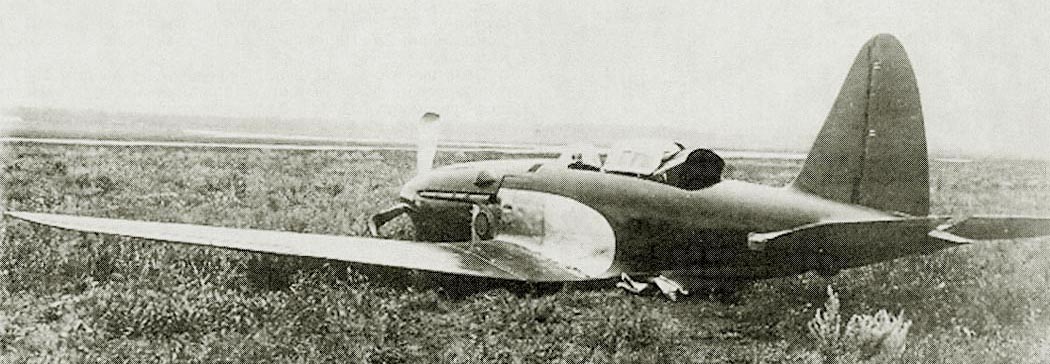 Sukhoi Su-1 fighter prototype side view