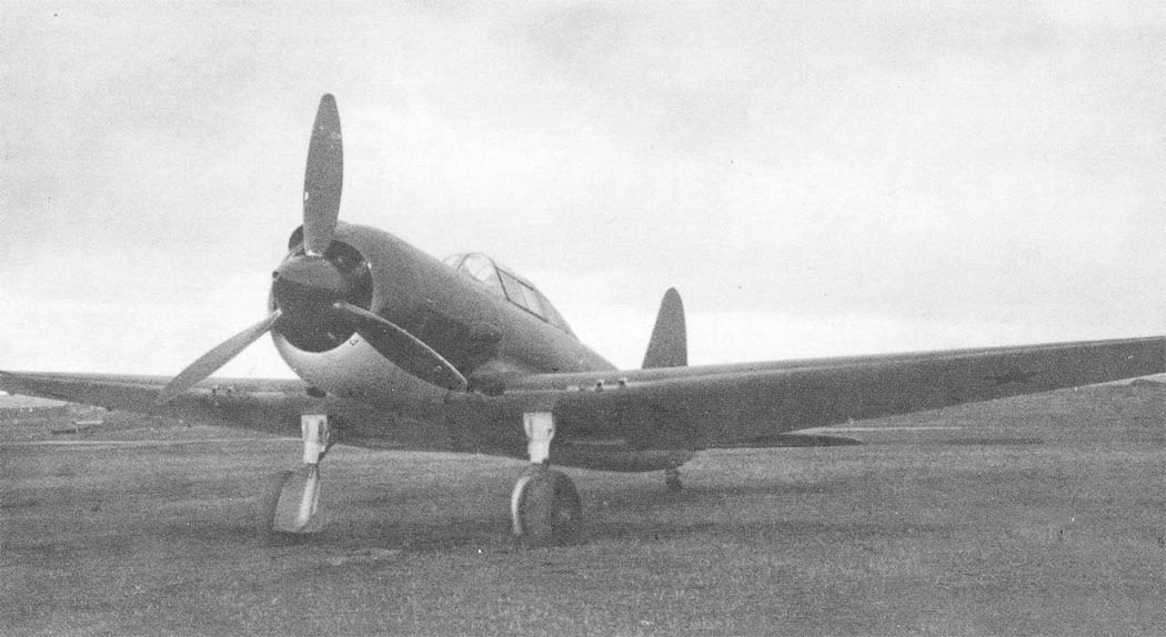 Sukhoi Su-6 ground view showing its radial-engine attack-aircraft layout.