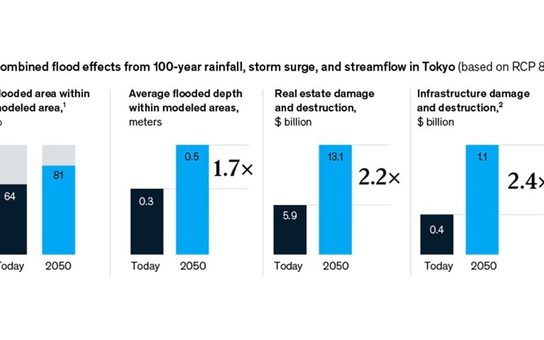 Tokyo in trouble: Physical assets face double damage from climate change