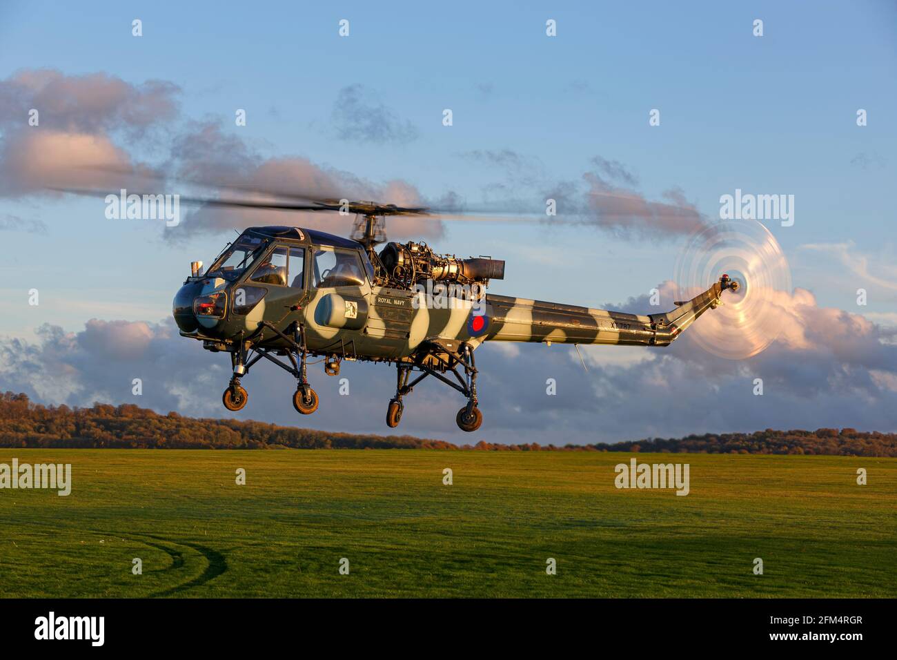 Westland Wasp - Westland Wasp helicopter of the British Royal Navy Stock Photo - Alamy