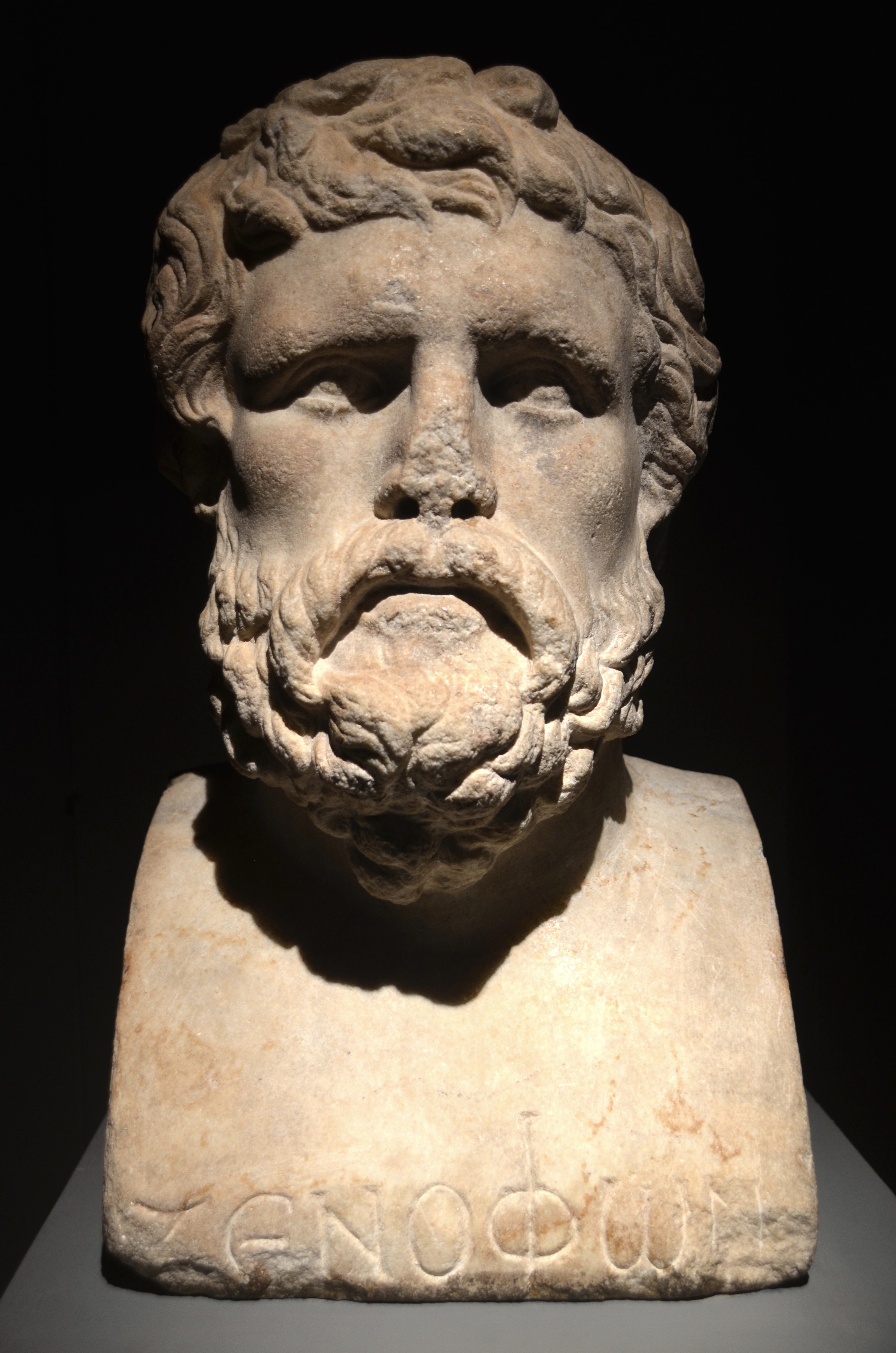 Marble bust of Xenophon of Athens